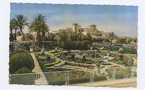 SBA JARDIN SONIS ET L HOPITAL